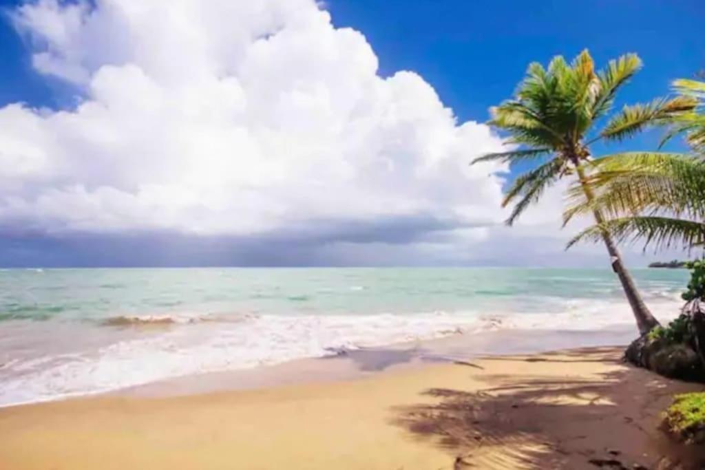 Fall In Love To Endless Summer. Charm And Private Appartement Loiza Buitenkant foto